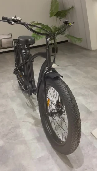 중국 750W 뚱뚱한 타이어 전기 자전거 Ebike 가득 차있는 중단을 가진 남자를 위한